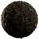 ground-forest-wild-grass-ferns-mud_001