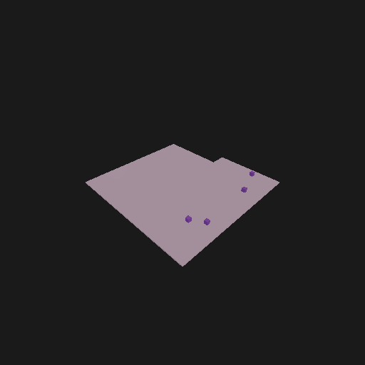 Static construct