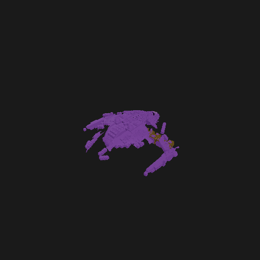 NCA Bug Ship