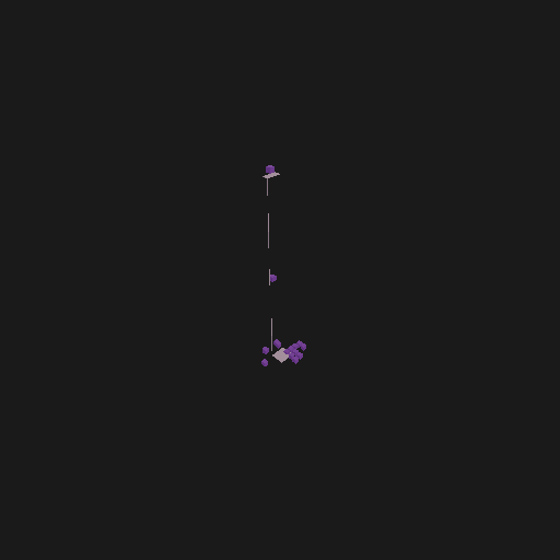 Static construct