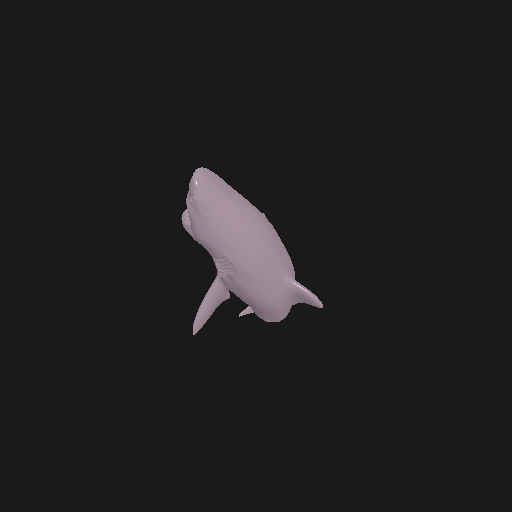 HD_SHARK